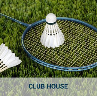 Badminton Racquet with shuttlecock in the grass